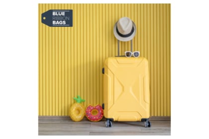 Blue Ribbon Bags Product Voucher V