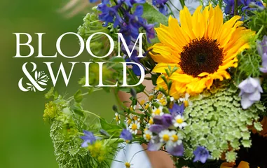 Bloom &amp; Wild UK